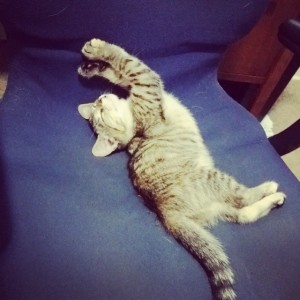 10401432_10203557703361069_727287178243822984_n