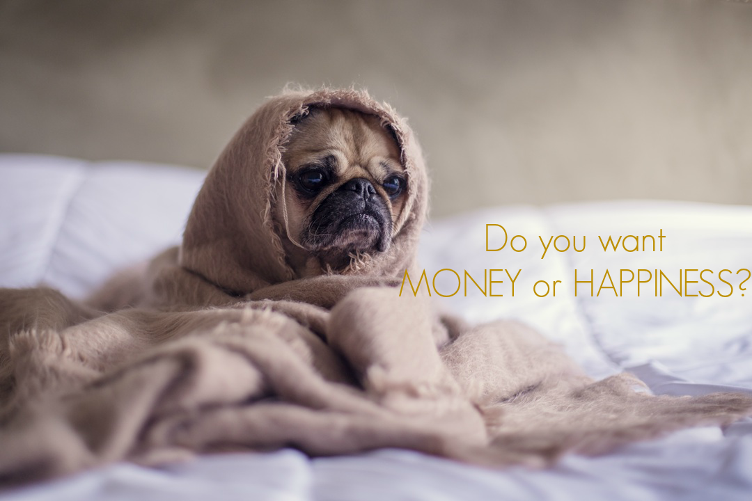 Do you want MONEY or HAPPINESS?